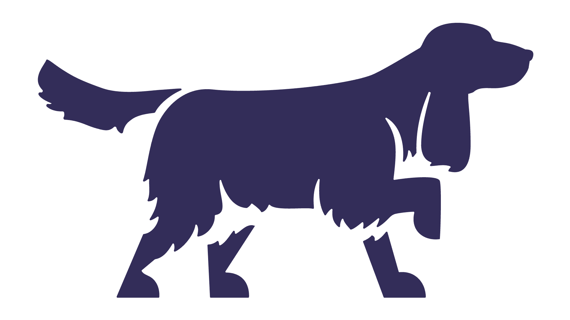 Sniffer's mascot, a cocker spaniel